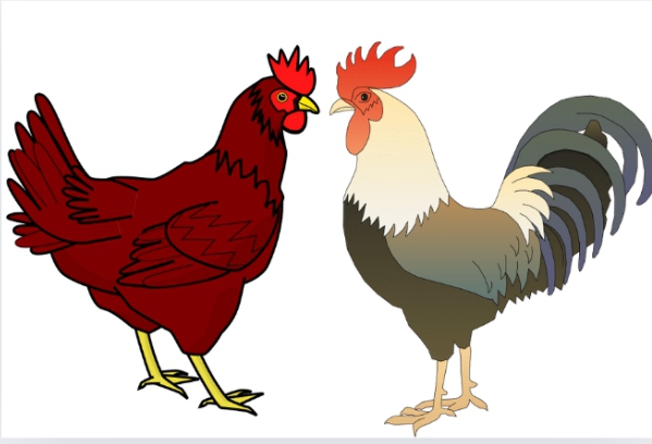 How to Use Clipart:t4h-x66pih4= turkey for Your Next Creative Project